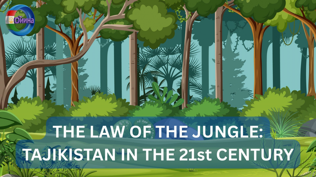 THE LAW OF THE JUNGLE: TAJIKISTAN IN THE 21st CENTURY